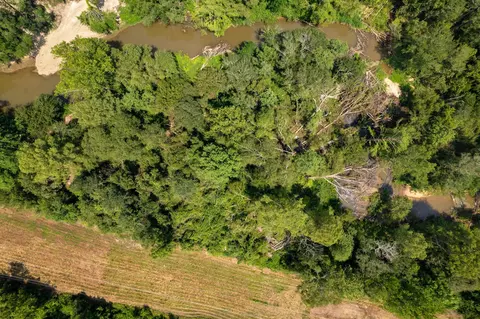 3 Us 84, Collins, MS 39428 photo 25