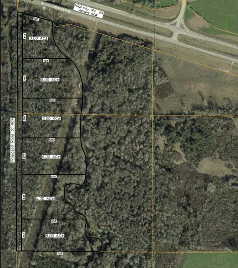 3 Us 84, Collins, MS 39428 photo 27