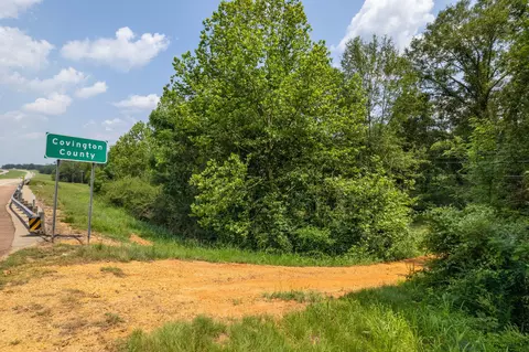 3 Us 84, Collins, MS 39428 photo 15