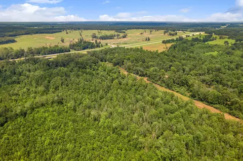 3 Us 84, Collins, MS 39428 photo 13