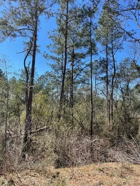0 Brent Knight Rd, Collins, MS 39428