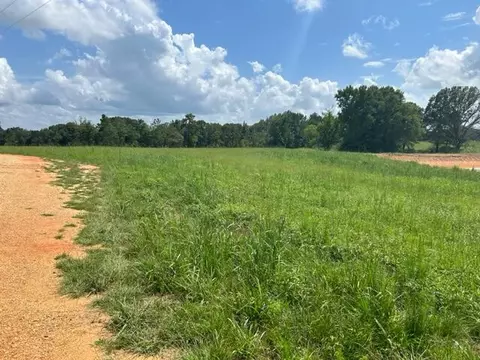 303 Friendship Rd, Carson, MS 39427 photo 2
