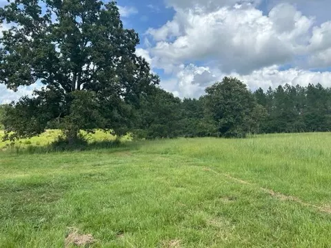 303 Friendship Rd, Carson, MS 39427 photo 5