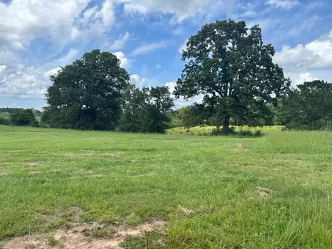 303 Friendship Rd, Carson, MS 39427 photo 3