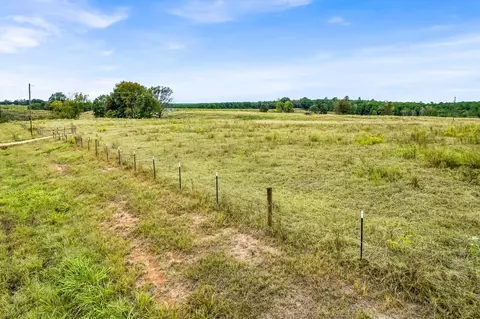 303 Friendship Rd, Carson, MS 39427 photo 11