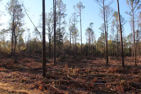 Parcel 1 Mac Pate Rd., West Point, MS 39773 photo 5