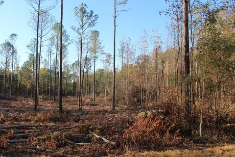 Parcel 1 Mac Pate Rd., West Point, MS 39773 photo 4