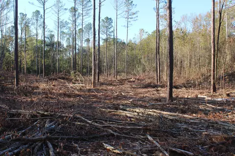Parcel 1 Mac Pate Rd., West Point, MS 39773 photo 6
