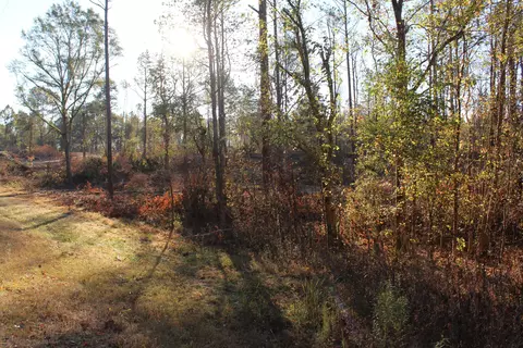 Parcel 1 Mac Pate Rd., West Point, MS 39773 photo 15