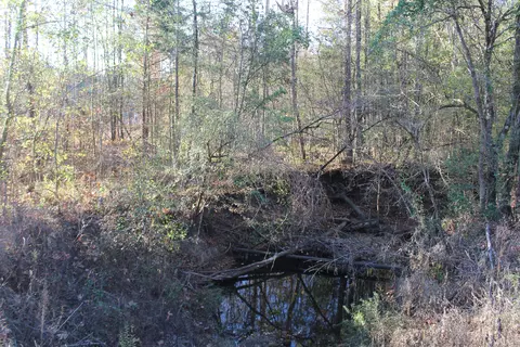 Parcel 1 Mac Pate Rd., West Point, MS 39773 photo 3