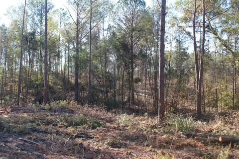 Parcel 3 Mac Pate Rd., West Point, MS 39741