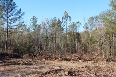 Parcel 2 Mac Pate Rd., West Point, MS 39741