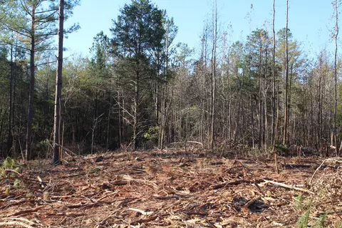 Parcel 2 Mac Pate Rd., West Point, MS 39741 photo 4