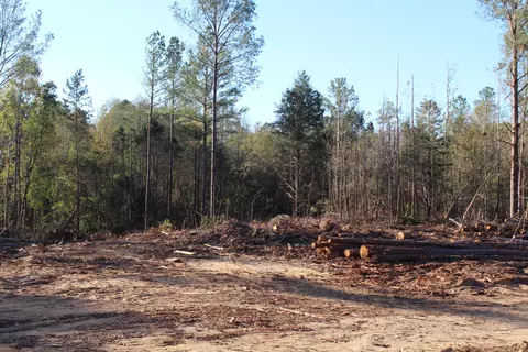 Parcel 2 Mac Pate Rd., West Point, MS 39741 photo 2