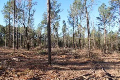 Parcel 4 Mac Pate Rd., West Point, MS 39741
