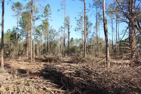 Parcel 4 Mac Pate Rd., West Point, MS 39741 photo 3