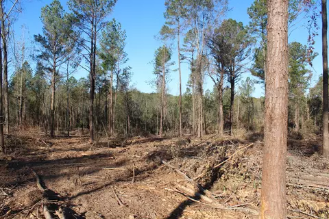 Parcel 4 Mac Pate Rd., West Point, MS 39741 photo 2