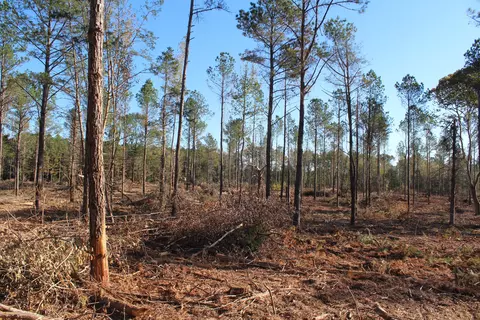Parcel 4 Mac Pate Rd., West Point, MS 39741 photo 6