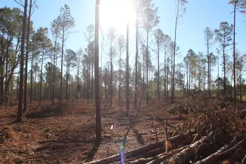 Parcel 4 Mac Pate Rd., West Point, MS 39741 photo 4