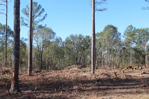 Parcel 7 Mac Pate Rd., West Point, MS 39741 photo 3