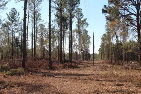 Parcel 8 Old Montpelier Rd., West Point, MS 39741