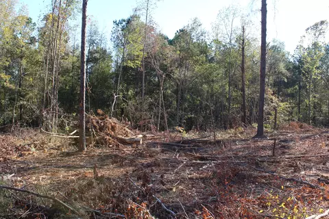 Parcel 9 Old Montpelier Rd., West Point, MS 39741