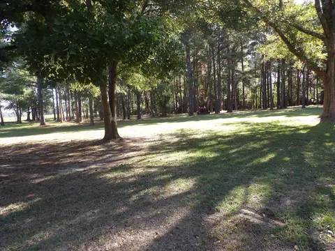 4184 Sharon Rd, Laurel, MS 39443 photo 7