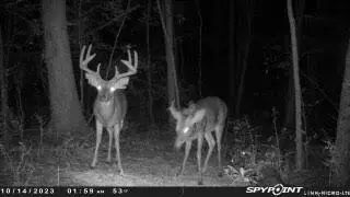 877 Oloh Rd, Sumrall, MS 39482 photo 52