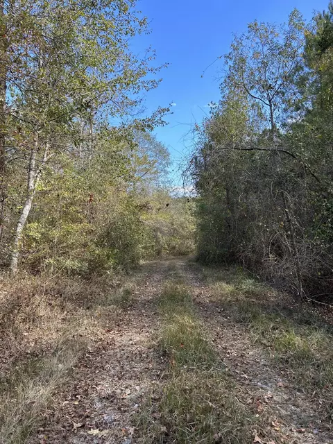 88 Co Rd 228, Pachuta, MS 39347
