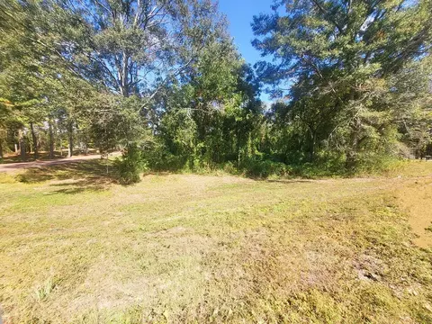 0 Lake Mike Conner Rd, Collins, MS 39428 photo 2