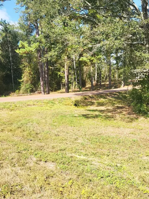 0 Lake Mike Conner Rd, Collins, MS 39428