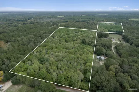 00 Son Thompson Rd, Sandy Hook, MS 39478 photo 4