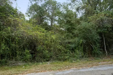 00 Son Thompson Rd, Sandy Hook, MS 39478 photo 7
