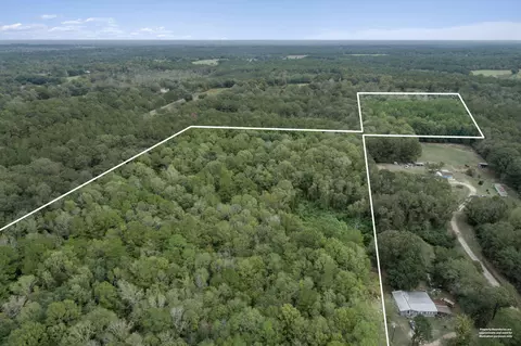 00 Son Thompson Rd, Sandy Hook, MS 39478