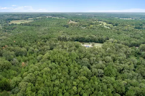 00 Son Thompson Rd, Sandy Hook, MS 39478 photo 3