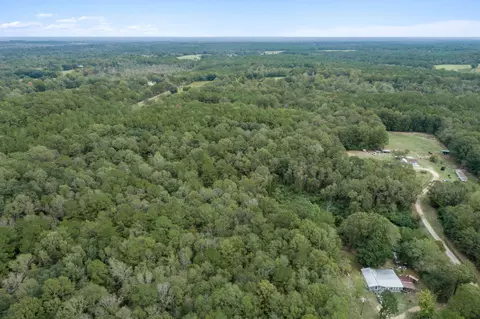 00 Son Thompson Rd, Sandy Hook, MS 39478 photo 2