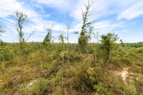 1 Johnson Road, Sandy Hook, MS 39478 photo 21
