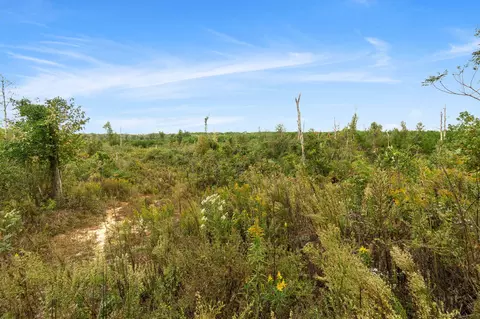 1 Johnson Road, Sandy Hook, MS 39478 photo 17