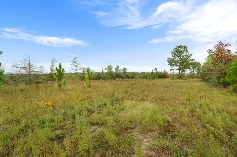 1 Johnson Road, Sandy Hook, MS 39478 photo 16