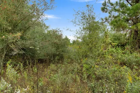 1 Johnson Road, Sandy Hook, MS 39478 photo 19