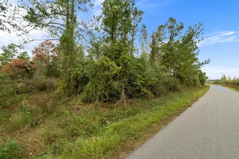 1 Johnson Road, Sandy Hook, MS 39478 photo 13