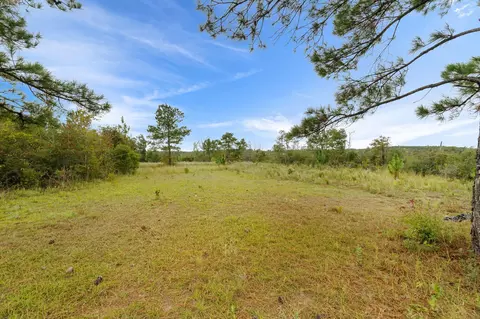 1 Johnson Road, Sandy Hook, MS 39478 photo 22