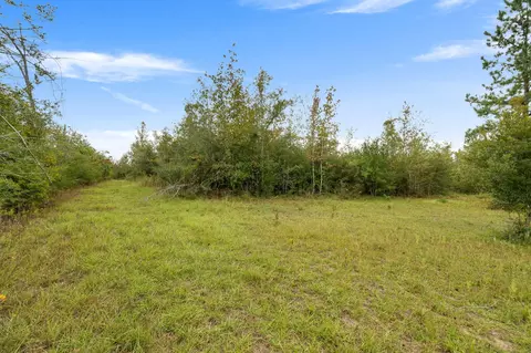 1 Johnson Road, Sandy Hook, MS 39478 photo 18