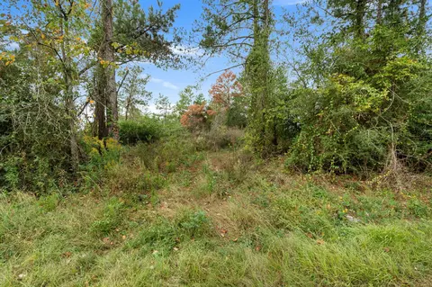 1 Johnson Road, Sandy Hook, MS 39478 photo 14