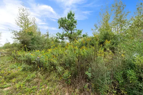 2 Johnson Road, Sandy Hook, MS 39478 photo 13