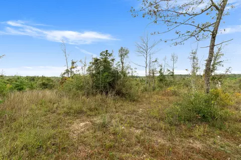 2 Johnson Road, Sandy Hook, MS 39478 photo 23