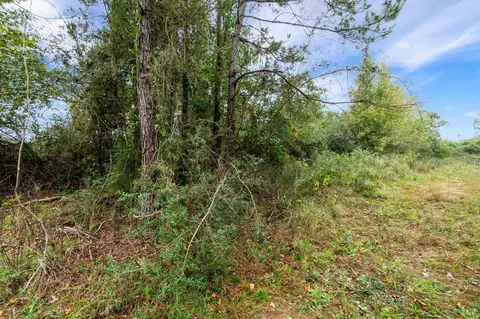 2 Johnson Road, Sandy Hook, MS 39478 photo 21