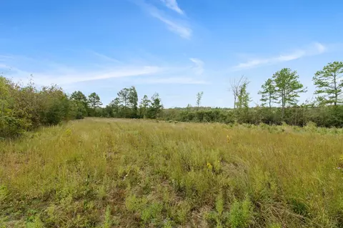2 Johnson Road, Sandy Hook, MS 39478 photo 22