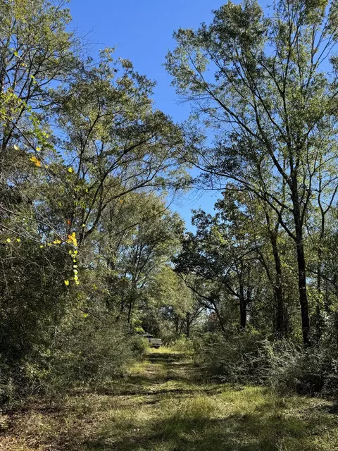 1030 Henry Eubanks Rd, Lucedale, MS 39452