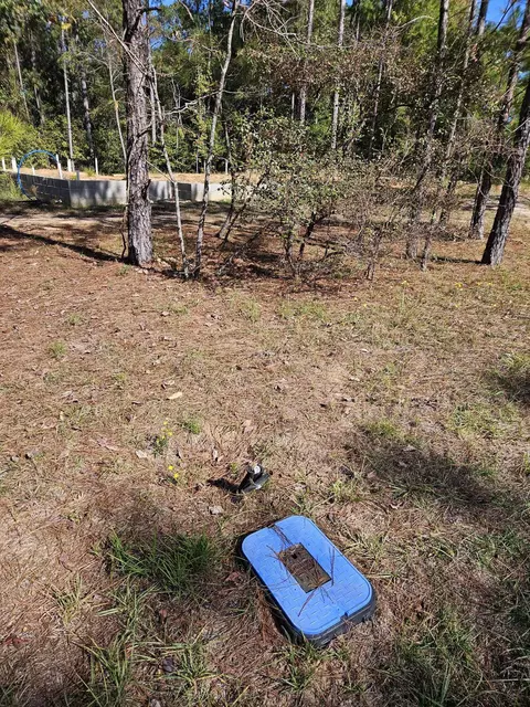 1 N Fork Dr, Petal, MS 39465 photo 7